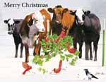 Artist Lang Company Art Christmas Cards