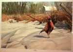 Artist C. Gengler Smith Art Prints