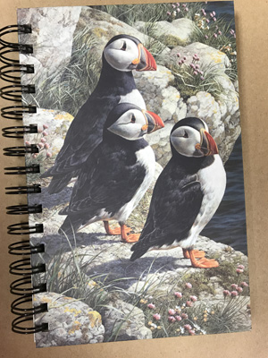 Artist Pine Ridge Art Art Journals