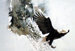Artist Morten Solberg Art Giclee Paper