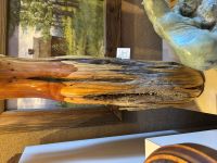 Artist Dixie Wajdic Art Wood Art