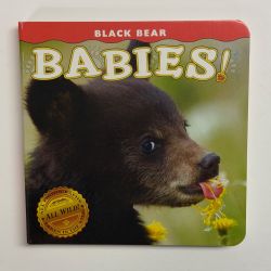 Artist ALL BOOKS Art Books