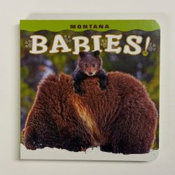 Artist ALL BOOKS Art Books