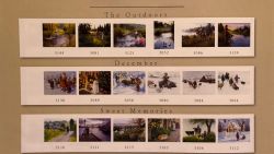 Artist Robert Duncan Art Note Cards