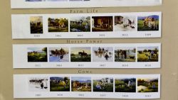 Artist Robert Duncan Art Note Cards