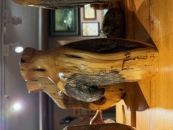 Artist Dixie Wajdic Art Wood Art